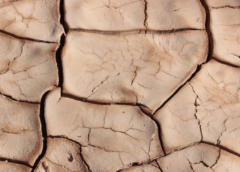 Může pršet stejně, ale sucho sílí. Vědci popisují, jak klimatická změna vysušuje Evropu
