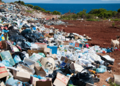 Čeští vědci na Novém Zélandu řeší horké téma mikroplastů s pomocí biocharu